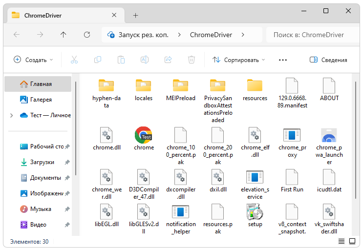 Файлы ChromeDriver