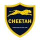 Иконка CHEETAH TOOL