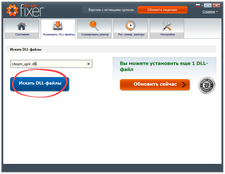 Поиск файла steam_apir.dll