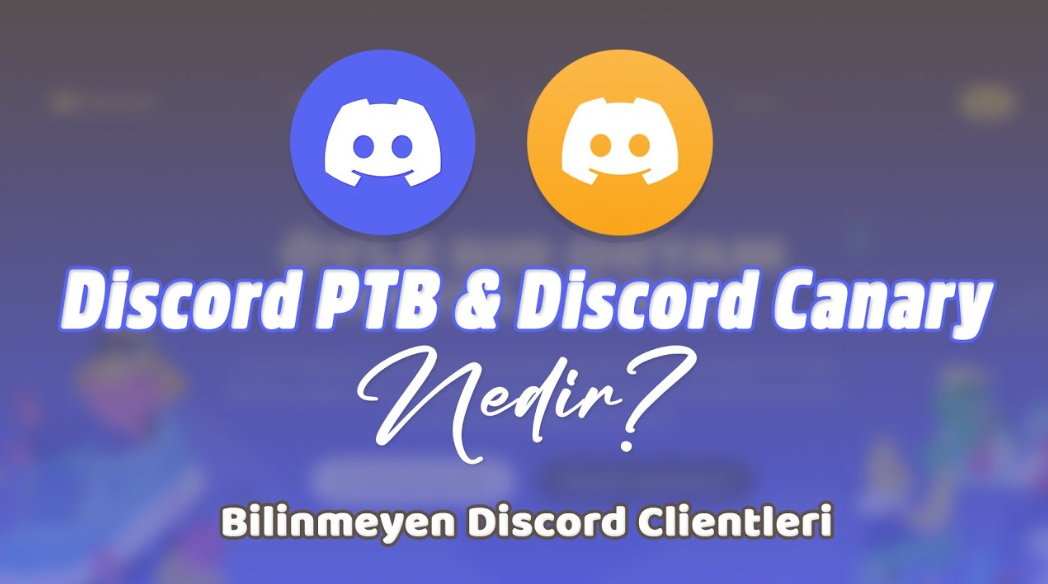 Программа Discord Canary